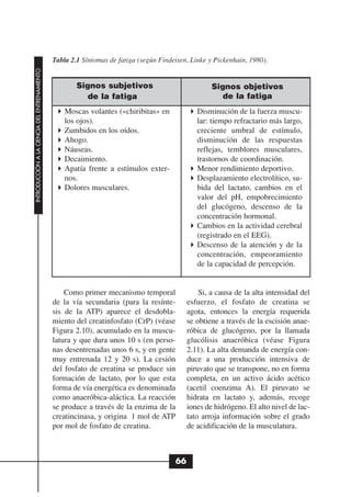 Tabla 2.1 Síntomas de fatiga (según Findeisen, Linke y Pickenhain, 1980).
INTRODUCCIÓN A LA CIENCIA DEL ENTRENAMIENTO




                                                      Signos subjetivos                             Signos objetivos
                                                         de la fatiga                                  de la fatiga
                                                  Moscas volantes («chiribitas» en             Disminución de la fuerza muscu-
                                                  los ojos).                                   lar: tiempo refractario más largo,
                                                  Zumbidos en los oídos.                       creciente umbral de estímulo,
                                                  Ahogo.                                       disminución de las respuestas
                                                  Náuseas.                                     reflejas, temblores musculares,
                                                  Decaimiento.                                 trastornos de coordinación.
                                                  Apatía frente a estímulos exter-             Menor rendimiento deportivo.
                                                  nos.                                         Desplazamiento electrolítico, su-
                                                  Dolores musculares.                          bida del lactato, cambios en el
                                                                                               valor del pH, empobrecimiento
                                                                                               del glucógeno, descenso de la
                                                                                               concentración hormonal.
                                                                                               Cambios en la actividad cerebral
                                                                                               (registrado en el EEG).
                                                                                               Descenso de la atención y de la
                                                                                               concentración, empeoramiento
                                                                                               de la capacidad de percepción.


                                                  Como primer mecanismo temporal                Si, a causa de la alta intensidad del
                                              de la vía secundaria (para la resínte-        esfuerzo, el fosfato de creatina se
                                              sis de la ATP) aparece el desdobla-           agota, entonces la energía requerida
                                              miento del creatinfosfato (CrP) (véase        se obtiene a través de la escisión anae-
                                              Figura 2.10), acumulado en la muscu-          róbica de glucógeno, por la llamada
                                              latura y que dura unos 10 s (en perso-        glucólisis anaeróbica (véase Figura
                                              nas desentrenadas unos 6 s, y en gente        2.11). La alta demanda de energía con-
                                              muy entrenada 12 y 20 s). La cesión           duce a una producción intensiva de
                                              del fosfato de creatina se produce sin        piruvato que se transpone, no en forma
                                              formación de lactato, por lo que esta         completa, en un activo ácido acético
                                              forma de vía energética es denominada         (acetil coenzima A). El piruvato se
                                              como anaeróbica-aláctica. La reacción         hidrata en lactato y, además, recoge
                                              se produce a través de la enzima de la        iones de hidrógeno. El alto nivel de lac-
                                              creatincinasa, y origina 1 mol de ATP         tato arroja información sobre el grado
                                              por mol de fosfato de creatina.               de acidificación de la musculatura.



                                                                                       66
 