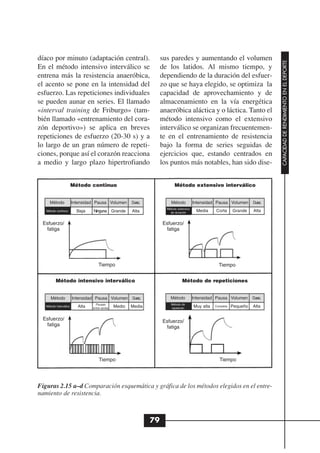 díaco por minuto (adaptación central).                                sus paredes y aumentando el volumen




                                                                                                                                    CAPACIDAD DE RENDIMIENTO EN EL DEPORTE
En el método intensivo interválico se                                 de los latidos. Al mismo tiempo, y
entrena más la resistencia anaeróbica,                                dependiendo de la duración del esfuer-
el acento se pone en la intensidad del                                zo que se haya elegido, se optimiza la
esfuerzo. Las repeticiones individuales                               capacidad de aprovechamiento y de
se pueden aunar en series. El llamado                                 almacenamiento en la vía energética
«interval training de Friburgo» (tam-                                 anaeróbica aláctica y o láctica. Tanto el
bién llamado «entrenamiento del cora-                                 método intensivo como el extensivo
zón deportivo») se aplica en breves                                   interválico se organizan frecuentemen-
repeticiones de esfuerzo (20-30 s) y a                                te en el entrenamiento de resistencia
lo largo de un gran número de repeti-                                 bajo la forma de series seguidas de
ciones, porque así el corazón reacciona                               ejercicios que, estando centrados en
a medio y largo plazo hipertrofiando                                  los puntos más notables, han sido dise-


                        Método continuo                                      Método extensivo interválico


     Método             Intensidad Pausa Volumen        Durac.            Método           Intensidad Pausa Volumen        Durac.
                                                                        Método extensivo
   Método continuo        Baja   Ninguna Grande         Alta              de duración       Media     Corta      Grande    Alta

 Esfuerzo/                                                            Esfuerzo/
  fatiga                                                               fatiga




                                     Tiempo                                                             Tiempo


          Método intensivo interválico                                            Método de repeticiones


      Método            Intensidad Pausa Volumen        Durac.            Método           Intensidad Pausa Volumen        Durac.
                                   Pausas                                 Método de
   Método interválico     Alta   entre series   Medio   Media             repetición       Muy alta   Completa   Pequeño   Alta

 Esfuerzo/                                                            Esfuerzo/
  fatiga                                                               fatiga




                                     Tiempo                                                             Tiempo




Figuras 2.15 a–d Comparación esquemática y gráfica de los métodos elegidos en el entre-
namiento de resistencia.



                                                                 79
 