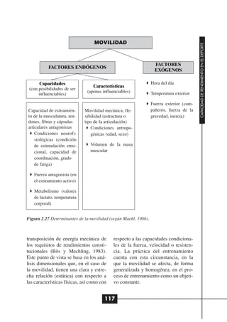 MOVILIDAD




                                                                                         CAPACIDAD DE RENDIMIENTO EN EL DEPORTE
                                                                   FACTORES
           FACTORES ENDÓGENOS
                                                                   EXÓGENOS

       Capacidades                                               Hora del día
                                  Características
 (con posibilidades de ser
                               (apenas influenciables)           Temperatura exterior
      influenciables)

                                                                 Fuerza exterior (com-
Capacidad de estiramien-     Movilidad mecánica, fle-            pañeros, fuerza de la
to de la musculatura, ten-   xibilidad (estructura o             gravedad, inercia)
dones, fibras y cápsulas     tipo de la articulación)
articulares antagonistas        Condiciones antropo-
    Condiciones neurofi-        génicas (edad, sexo)
    siológicas (condición
    de estimulación emo-        Volumen de la masa
    cional, capacidad de        muscular
    coordinación, grado
    de fatiga)

   Fuerza antagonista (en
   el estiramiento activo)

   Metabolismo (valores
   de lactato, temperatura
   corporal)


Figura 2.27 Determinantes de la movilidad (según Maehl, 1986).



transposición de energía mecánica de         respecto a las capacidades condiciona-
los requisitos de rendimientos consti-       les de la fuerza, velocidad o resisten-
tucionales (Bös y Mechling, 1983).           cia. La práctica del entrenamiento
Este punto de vista se basa en los aná-      cuenta con esta circunstancia, en la
lisis dimensionales que, en el caso de       que la movilidad se afecta, de forma
la movilidad, tienen una clara y estre-      generalizada y homogénea, en el pro-
cha relación (estática) con respecto a       ceso de entrenamiento como un objeti-
las características físicas, así como con    vo constante.


                                        117
 