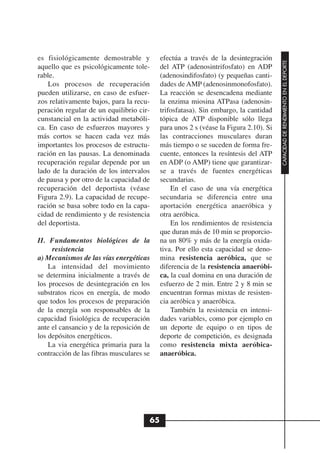 es fisiológicamente demostrable y          efectúa a través de la desintegración




                                                                                      CAPACIDAD DE RENDIMIENTO EN EL DEPORTE
aquello que es psicológicamente tole-      del ATP (adenosintrifosfato) en ADP
rable.                                     (adenosindifosfato) (y pequeñas canti-
    Los procesos de recuperación           dades de AMP (adenosinmonofosfato).
pueden utilizarse, en caso de esfuer-      La reacción se desencadena mediante
zos relativamente bajos, para la recu-     la enzima miosina ATPasa (adenosin-
peración regular de un equilibrio cir-     trifosfatasa). Sin embargo, la cantidad
cunstancial en la actividad metabóli-      tópica de ATP disponible sólo llega
ca. En caso de esfuerzos mayores y         para unos 2 s (véase la Figura 2.10). Si
más cortos se hacen cada vez más           las contracciones musculares duran
importantes los procesos de estructu-      más tiempo o se suceden de forma fre-
ración en las pausas. La denominada        cuente, entonces la resíntesis del ATP
recuperación regular depende por un        en ADP (o AMP) tiene que garantizar-
lado de la duración de los intervalos      se a través de fuentes energéticas
de pausa y por otro de la capacidad de     secundarias.
recuperación del deportista (véase             En el caso de una vía energética
Figura 2.9). La capacidad de recupe-       secundaria se diferencia entre una
ración se basa sobre todo en la capa-      aportación energética anaeróbica y
cidad de rendimiento y de resistencia      otra aeróbica.
del deportista.                                En los rendimientos de resistencia
                                           que duran más de 10 min se proporcio-
II. Fundamentos biológicos de la           na un 80% y más de la energía oxida-
     resistencia                           tiva. Por ello esta capacidad se deno-
a) Mecanismos de las vías energéticas      mina resistencia aeróbica, que se
    La intensidad del movimiento           diferencia de la resistencia anaeróbi-
se determina inicialmente a través de      ca, la cual domina en una duración de
los procesos de desintegración en los      esfuerzo de 2 min. Entre 2 y 8 min se
substratos ricos en energía, de modo       encuentran formas mixtas de resisten-
que todos los procesos de preparación      cia aeróbica y anaeróbica.
de la energía son responsables de la           También la resistencia en intensi-
capacidad fisiológica de recuperación      dades variables, como por ejemplo en
ante el cansancio y de la reposición de    un deporte de equipo o en tipos de
los depósitos energéticos.                 deporte de competición, es designada
    La via energética primaria para la     como resistencia mixta aeróbica-
contracción de las fibras musculares se    anaeróbica.




                                      65
 