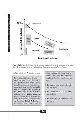INTRODUCCIÓN A LA CIENCIA DEL ENTRENAMIENTO




                                                                                                      Fuerza máxima
                                                         Intensidad del esfuerzo




                                                                                             Fuerza      Fuerza
                                                                                             explo-
                                                                                              siva
                                                                                                                               F
                                                                                                                            res uerza
                                                                                                                               iste -
                                                                                                                                   nci
                                                                                                                                      a
                                                                                   Fuerza inicial




                                                                                                                                              Resistencia
                                                                                                      Velocidad        Resistencia de
                                                                                                                        la velocidad



                                                                                                              Duración del esfuerzo


                                              Figura 2.22 Disposición modélica de la capacidad condicional de la fuerza, de la veloci-
                                              dad y de la resistencia en un continuum de duración e intensidad del esfuerzo.


                                              a) Entrenamiento de fuerza máxima                                              coordinación intramuscular. La
                                                                                                                             fuerza máxima se determina
                                                La fuerza máxima se alcanza por                                              mediante los tres siguientes fac-
                                                medio de una contracción muscu-                                              tores:
                                                lar espontánea hasta llegar al lími-
                                                te de la máxima movilización y se                                          1. La sección transversal fisiológica
                                                mide por una acción muscular                                                  del músculo.
                                                máxima concéntrica o isométrica.
                                                La diferencia entre la fuerza                                              2. La composición de las fibras
                                                máxima y la fuerza absoluta                                                   musculares.
                                                determinada por una acción mus-
                                                cular excéntrica y supramáxima                                             3. La capacidad de activación es-
                                                se denomina déficit de fuerza y                                               pontánea.
                                                representa una carencia de la



                                                                                                                      94
 