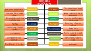CIENCIAS
BIOLÓGICAS
Anatomía Fisiología
Biofísica Filogenia
Bioquímica Genética
Microbiología
Botánica Histología
Citología
Ecología
Etología
Evolución
Paleontología
Taxonomía
Zoología
Estructura organismos
Procesos físicos seres
vivos
Composición química
materia viva
Plantas
Estructura y función
células
Ecosistemas
Comportamiento
animal
Cambios en el tiempo Animales
Nomenclatura seres
vivos
Restos seres vivos del
pasado
Seres vivos
microscópicos
Estructura y función
tejidos
Herencia biológica de
caracteres
Relaciones evolutivas
seres vivos
Funcionamiento seres
vivos
 