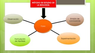 MÉTODO DE ESTUDIO DE
LA BIOLOGÍA
Fases
Observación
Formulación
de Hipótesis
Experimentación
Emisión de
conclusiones
 