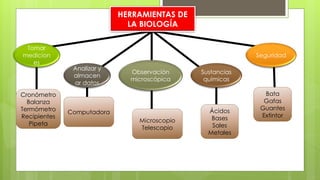 HERRAMIENTAS DE
LA BIOLOGÍA
Tomar
medicion
es
Analizar y
almacen
ar datos
Observación
microscópica
Sustancias
químicas
Seguridad
Cronómetro
Balanza
Termómetro
Recipientes
Pipeta
Computadora
Microscopio
Telescopio
Ácidos
Bases
Sales
Metales
Bata
Gafas
Guantes
Extintor
 