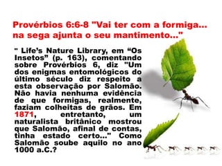 Provérbios 6:6-8 "Vai ter com a formiga...
na sega ajunta o seu mantimento..."
" Life’s Nature Library, em “Os
Insetos” (p. 163), comentando
sobre Provérbios 6, diz "Um
dos enigmas entomológicos do
último século diz respeito a
esta observação por Salomão.
Não havia nenhuma evidência
de que formigas, realmente,
faziam colheitas de grãos. Em
1871, entretanto, um
naturalista britânico mostrou
que Salomão, afinal de contas,
tinha estado certo..." Como
Salomão soube aquilo no ano
1000 a.C.?
 