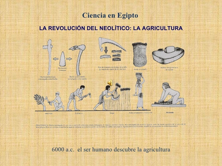 Ciencia en egipto