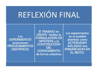 REFLEXIÓN FINAL
Los
EXPERIMENTOS
promueven
PROCEDIMIENTOS
CIENTÍFICOS.
El TRABAJO en
GRUPO facilita la
FORMULACIÓN DE
HIPÓTESIS y la
CONSTRUCCIÓN
DEL
CONOCIMIENTO
de forma colectiva.
Los experimentos
no se pueden
plantear como
ACTIVIDADES
AISLADAS sino
ENMARCADAS EN
EL RESTO.
 