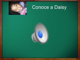Conoce a Daisy
 