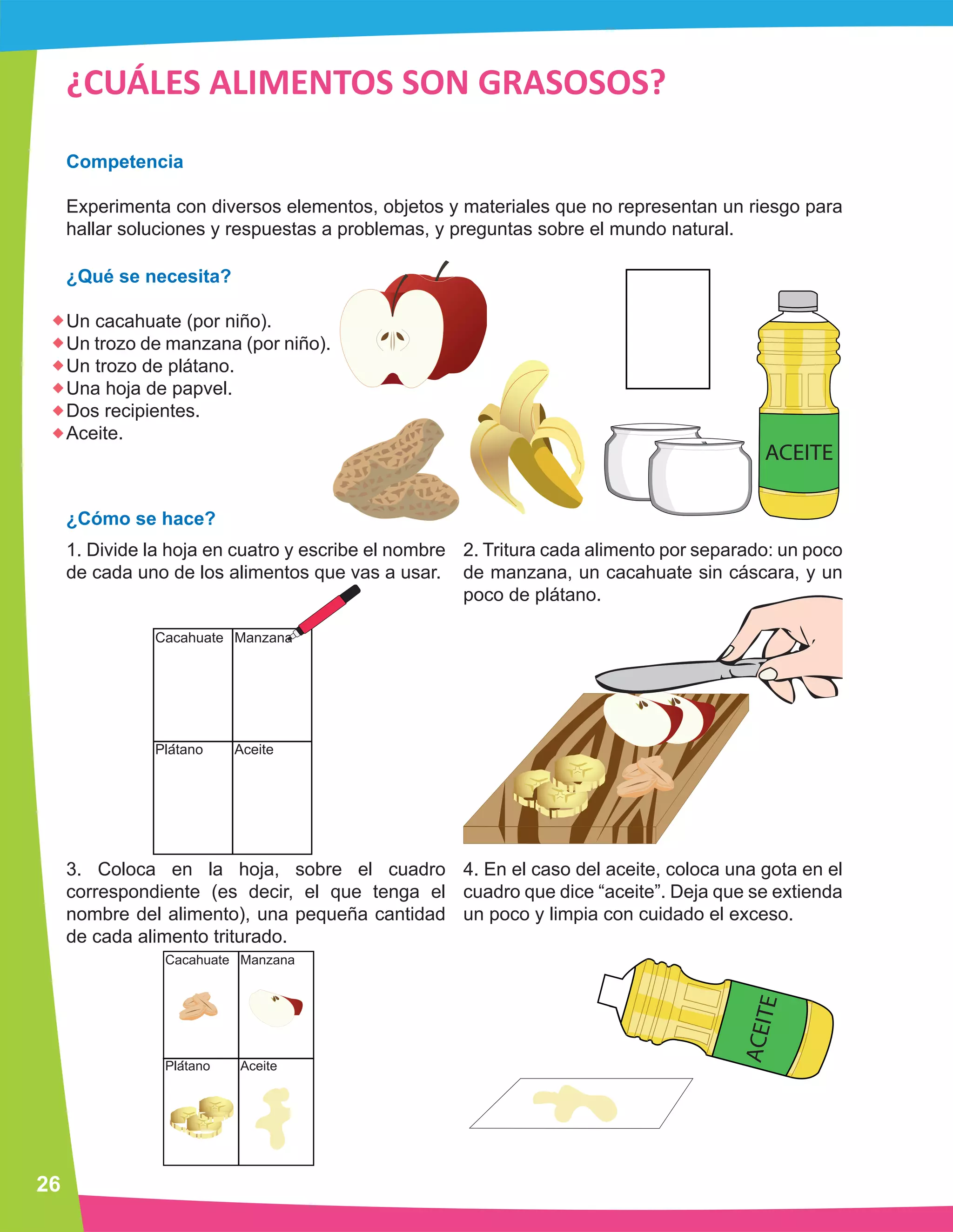 ACEITE
ACEITE
26
¿CUÁLES ALIMENTOS SON GRASOSOS?
Competencia
Experimenta con diversos elementos, objetos y materiales que no representan un riesgo para
hallar soluciones y respuestas a problemas, y preguntas sobre el mundo natural.
¿Qué se necesita?
Un cacahuate (por niño).
Un trozo de manzana (por niño).
Un trozo de plátano.
Una hoja de papvel.
Dos recipientes.
Aceite.
¿Cómo se hace?
1. Divide la hoja en cuatro y escribe el nombre
de cada uno de los alimentos que vas a usar.
3. Coloca en la hoja, sobre el cuadro
correspondiente (es decir, el que tenga el
nombre del alimento), una pequeña cantidad
de cada alimento triturado.
2. Tritura cada alimento por separado: un poco
de manzana, un cacahuate sin cáscara, y un
poco de plátano.
4. En el caso del aceite, coloca una gota en el
cuadro que dice “aceite”. Deja que se extienda
un poco y limpia con cuidado el exceso.
 