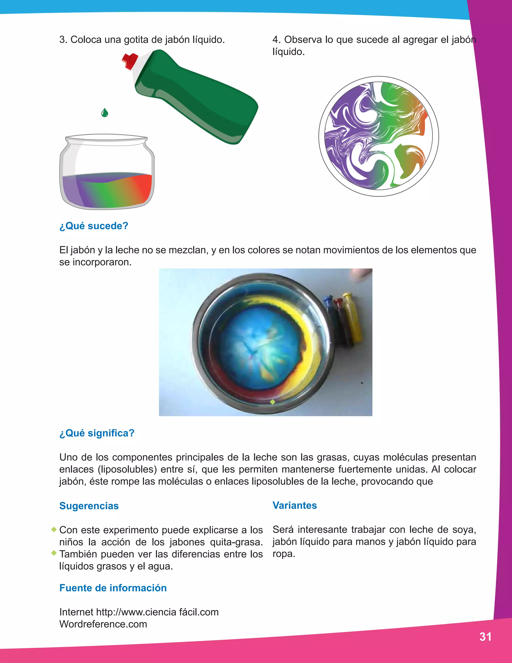 31
3. Coloca una gotita de jabón líquido. 4. Observa lo que sucede al agregar el jabón
líquido.
¿Qué sucede?
El jabón y la leche no se mezclan, y en los colores se notan movimientos de los elementos que
se incorporaron.
Variantes
Será interesante trabajar con leche de soya,
jabón líquido para manos y jabón líquido para
ropa.
Sugerencias
Con este experimento puede explicarse a los
niños la acción de los jabones quita-grasa.
También pueden ver las diferencias entre los
líquidos grasos y el agua.
Fuente de información
Internet http://www.ciencia fácil.com
Wordreference.com
¿Qué significa?
Uno de los componentes principales de la leche son las grasas, cuyas moléculas presentan
enlaces (liposolubles) entre sí, que les permiten mantenerse fuertemente unidas. Al colocar
jabón, éste rompe las moléculas o enlaces liposolubles de la leche, provocando que
 