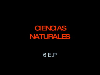 CIENCIAS NATURALES   6 E.P 