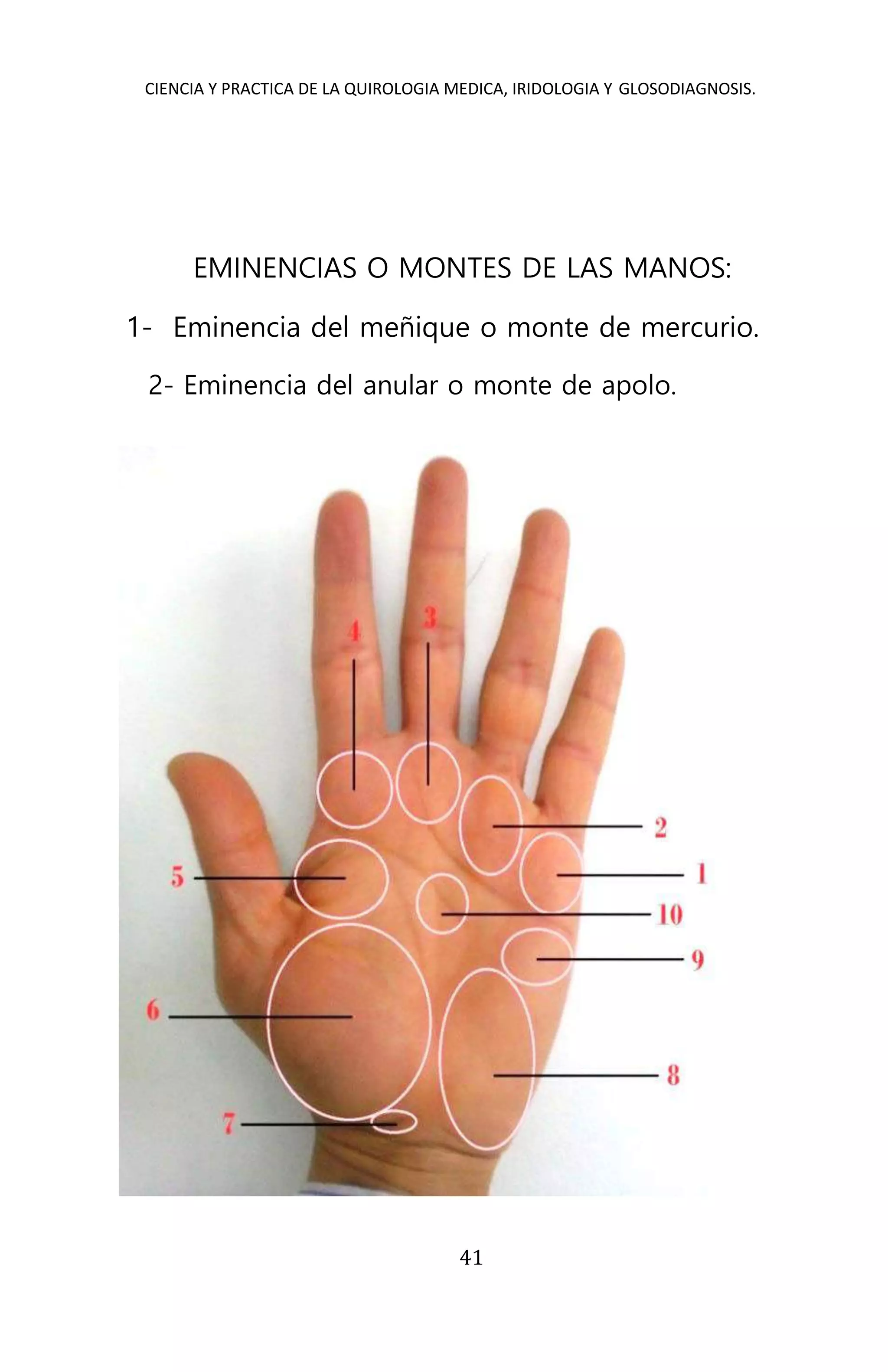 CIENCIA Y PRACTICA DE LA QUIROLOGIA MEDICA, IRIDOLOGIA Y GLOSODIAGNOSIS.
41
EMINENCIAS O MONTES DE LAS MANOS:
1- Eminencia del meñique o monte de mercurio.
2- Eminencia del anular o monte de apolo.
 