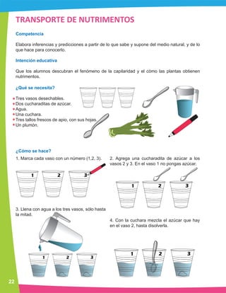 Ciencia preescolar manual experimentos 