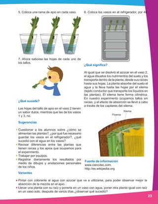 Ciencia preescolar manual experimentos 