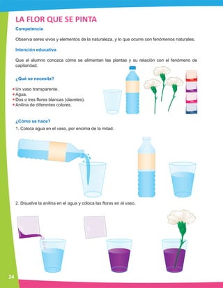 Ciencia preescolar manual experimentos 