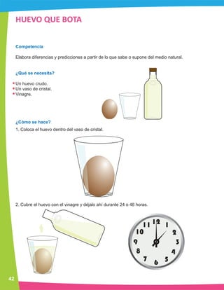 Ciencia preescolar manual experimentos 
