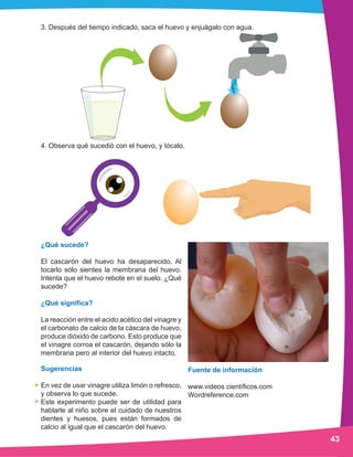 Ciencia preescolar manual experimentos 