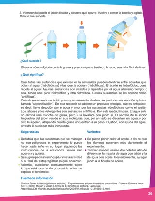3. Vierte en la botella el jabón líquido y observa qué ocurre. Vuelve a cerrar la botella y agítala.
Mira lo que sucede.
29
Observa cómo el jabón corta la grasa y provoca que el traste, o la ropa, sea más fácil de lavar.
¿Qué significa?
Casi todas las sustancias que existen en la naturaleza pueden dividirse entre aquellas que
odian al agua (hidrofóbicas) y las que la adoran (hidrofílicas). El aceite es hidrofóbico, pues
repele al agua. Algunas sustancias son atraídas y repelidas por el agua al mismo tiempo; o
sea, tienen una parte hidrofóbica y otra hidrofílica. A estas sustancias se les conoce como
“anfifílicas”.
Cuando mezclamos un ácido graso y un elemento alcalino, se produce una reacción química
llamada “saponificación”. En esta reacción se obtiene un producto principal, que es antipático;
es decir, tiene devoción por el agua y amor por las sustancias hidrofóbicas, como el aceite.
Los jabones y los detergentes son sustancias anfifílicas. Por esta razón, limpian. El agua sola
no elimina una mancha de grasa, pero si la lavamos con jabón sí. El secreto de la acción
limpiadora del jabón reside en sus moléculas que, por un lado, se disuelven en agua, y por
otro la repelen, atrapando cuanta grasa encuentran a su paso. El jabón, con ayuda del agua,
arrastra la suciedad más incrustada.
Variantes
Se puede poner color al aceite, a fin de que
los alumnos observen más claramente el
experimento.
También pueden usarse dos botellas a fin de
diferenciar la mezcla de agua con jabón y la
de agua con aceite. Posteriormente, agregar
jabón a la botella de aceite.
Sugerencias
Debido a que las sustancias que se manejan
no son peligrosas, el experimento lo puede
hacer cada niño en su lugar, siguiendo las
instrucciones de la educadora, quien sólo
apoyará y guiará.
Sesugierepediralosniños(durantelaactividad
o al final de ésta) registrar lo que observan.
Además, cuestionar constantemente sobre
lo que está ocurriendo y ocurrirá, antes de
explicar el fenómeno.
Fuente de información
Gatica Pérez Alfredo (primera edición). Experimentos súper divertidos para niños. Gómez-Gómez Hnos.
SEP. (2006) Mojar y secar. Libros de El rincón de lectura. Larousse.
http://aula2.el-mundo.es/aula/noticia.php/2004/01/08/aula1073495915.html
¿Qué sucede?
 