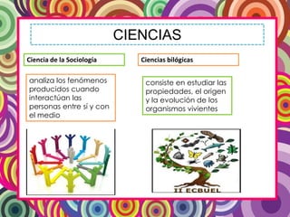 CIENCIAS
Ciencia de la Sociología
analiza los fenómenos
producidos cuando
interactúan las
personas entre sí y con
el medio
Ciencias bilógicas
consiste en estudiar las
propiedades, el origen
y la evolución de los
organismos vivientes
 