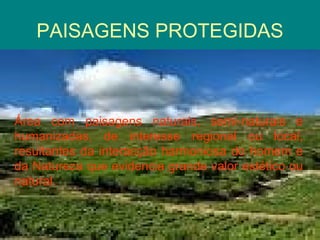 PAISAGENS PROTEGIDAS Área com paisagens naturais, semi-naturais e humanizadas, de interesse regional ou local, resultantes da interacção harmoniosa do homem e da Natureza que evidencia grande valor estético ou natural. 