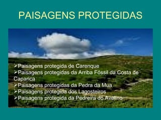 PAISAGENS PROTEGIDAS Paisagens protegida de Carenque Paisagens protegidas da Arriba Fóssil da Costa de Caparica Paisagens protegidas da Pedra da Mua Paisagens protegida dos Lagosteiros Paisagens protegida da Pedreira do Avelino 