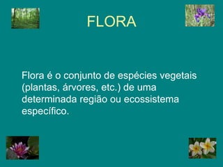 FLORA Flora é o conjunto de espécies vegetais (plantas, árvores, etc.) de uma determinada região ou ecossistema específico.  