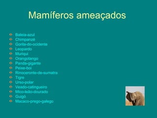 Mamíferos ameaçados  Baleia-azul   Chimpanzé   Gorila-do-ocidente Leopardo Muriqui   Orangotango   Panda-gigante Peixe-boi   Rinoceronte-de-sumatra   Tigre   Urso-polar   Veado-catingueiro   Mico-leão-dourado   Guigó   Macaco-prego-galego   