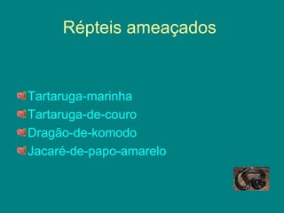 Répteis ameaçados  Tartaruga-marinha   Tartaruga-de-couro   Dragão-de-komodo   Jacaré-de-papo-amarelo   