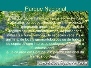 Parque Nacional Área que contenha um ou vários ecossistemas inalterados ou pouco alterados pela intervenção humana, integrando amostras representativas de regiões naturais características, de paisagens naturais e humanizadas, de espécies vegetais e animais, de locais geomorfológicos ou de habitats de espécies com interesse ecológico. Científico e educacional. A única área em Portugal é o parque Nacional da Peneda do Gerês.  