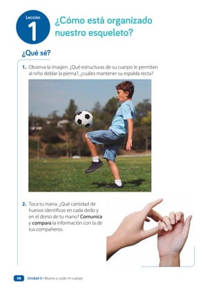1. Observa la imagen. ¿Qué estructuras de su cuerpo le permiten
al niño doblar la pierna?, ¿cuáles mantener su espalda recta?
2. Toca tu mano. ¿Qué cantidad de
huesos identificas en cada dedo y
en el dorso de tu mano? Comunica
y compara la información con la de
tus compañeros.
¿Qué sé?
¿Cómo está organizado
nuestro esqueleto?
1
Lección
Unidad 3 • Muevo y cuido mi cuerpo
98
 