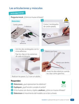 Actividad inicial
Las articulaciones y músculos
Pregunta inicial: ¿Cómo se mueve el brazo?
a Relacionen, ¿qué representan los elásticos?
b Expliquen, ¿qué función cumple el cartón?
c Si los huesos son duros y rígidos, analicen, ¿cómo se mueve el brazo?
d Relacionen el movimiento del modelo con el de su brazo.
Respondan:
Clip
Realicen los pasos 2 y 3 con un adulto.
Unir los dos rectángulos con la
cinta adhesiva.
Fijar los clips en los extremos
de cada rectángulo.
Poner los dos elásticos usando
los clips como ganchos.
Cortar 2 rectángulos
de cartón piedra.
Elástico por fuera.
Elástico por dentro.
Cartón piedra
2 elásticos
2 Clips Alicate
Cinta
adhesiva
2
1
3
Cuidado
Materiales
Páginas
48 y 49
Lección 2 • ¿Qué permite que mi cuerpo se mueva? 111
 