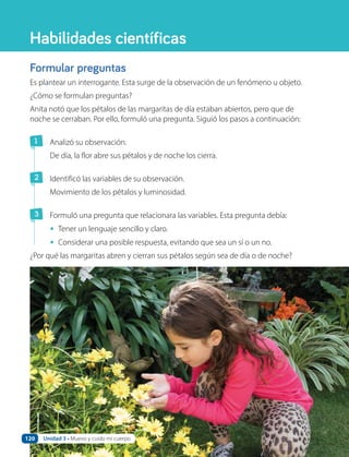 Formular preguntas
Es plantear un interrogante. Esta surge de la observación de un fenómeno u objeto.
¿Cómo se formulan preguntas?
Anita notó que los pétalos de las margaritas de día estaban abiertos, pero que de
noche se cerraban. Por ello, formuló una pregunta. Siguió los pasos a continuación:
1 Analizó su observación.
De día, la flor abre sus pétalos y de noche los cierra.
2 Identificó las variables de su observación.
Movimiento de los pétalos y luminosidad.
3 Formuló una pregunta que relacionara las variables. Esta pregunta debía:
• Tener un lenguaje sencillo y claro.
• Considerar una posible respuesta, evitando que sea un sí o un no.
¿Por qué las margaritas abren y cierran sus pétalos según sea de día o de noche?
Habilidades científicas
Unidad 3 • Muevo y cuido mi cuerpo
120
 
