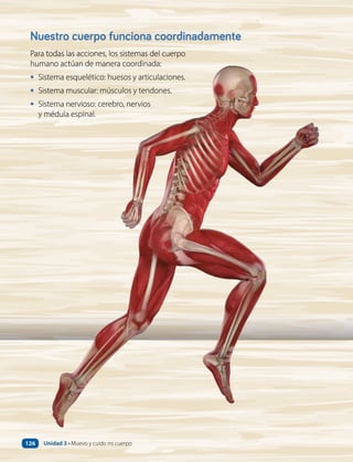 Nuestro cuerpo funciona coordinadamente
Para todas las acciones, los sistemas del cuerpo
humano actúan de manera coordinada:
• Sistema esquelético: huesos y articulaciones.
• Sistema muscular: músculos y tendones.
• Sistema nervioso: cerebro, nervios
y médula espinal.
Unidad 3 • Muevo y cuido mi cuerpo
126
 