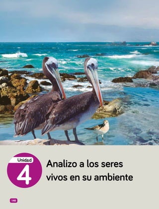 Analizo a los seres
vivos en su ambiente
4
Unidad
140
 