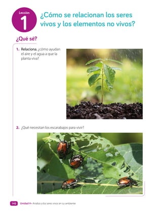 2. ¿Qué necesitan los escarabajos para vivir?
1. Relaciona, ¿cómo ayudan
el aire y el agua a que la
planta viva?
¿Qué sé?
¿Cómo se relacionan los seres
vivos y los elementos no vivos?
1
Lección
Unidad 4 • Analizo a los seres vivos en su ambiente
142
 