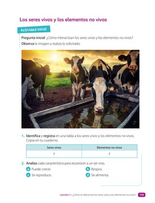 Los seres vivos y los elementos no vivos
Pregunta inicial: ¿Cómo interactúan los seres vivos y los elementos no vivos?
Observa la imagen y realiza lo solicitado.
1. Identifica y registra en una tabla a los seres vivos y los elementos no vivos.
Copia en tu cuaderno.
Seres vivos Elementos no vivos
? ?
2. Analiza cada característica para reconocer a un ser vivo.
a Puede crecer.
c Se reproduce.
b Respira.
d Se alimenta.
Actividad inicial
Lección 1 • ¿Cómo se relacionan los seres vivos y los elementos no vivos? 143
 