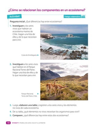 Pregunta inicial: ¿Qué diferencias hay entre ecosistemas?
1. Investiguen a los seres
vivos que habitan un
ecosistema marino de
Chile. Hagan una lista de
ellos y de lo que necesitan
para vivir.
2. Investiguen a los seres vivos
que habitan en el Parque
Nacional Torres del Paine.
Hagan una lista de ellos y de
lo que necesitan para vivir.
3. Luego, elaboren una tabla y registren a los seres vivos y los elementos
no vivos de cada ecosistema.
4. De su tabla, ¿qué elementos no vivos necesitan los organismos para vivir?
5. Comparen, ¿qué diferencias hay entre estos dos ecosistemas?
Costa de Antofagasta.
▲
Parque Nacional,
Torres del Paine, Chile.
▲
¿Cómo se relacionan los componentes en un ecosistema?
Trabajo colaborativo
Actividad
Unidad 4 • Analizo a los seres vivos en su ambiente
146
 