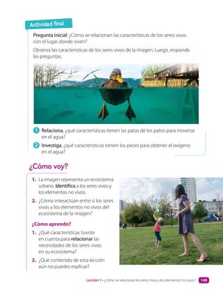 1. La imagen representa un ecosistema
urbano. Identifica a los seres vivos y
los elementos no vivos.
2. ¿Cómo interactúan entre sí los seres
vivos y los elementos no vivos del
ecosistema de la imagen?
¿Cómo aprendo?
1. ¿Qué características tuviste
en cuenta para relacionar las
necesidades de los seres vivos
en su ecosistema?
2. ¿Qué contenido de esta lección
aún no puedes explicar?
1 Relaciona, ¿qué características tienen las patas de los patos para moverse
en el agua?
2 Investiga, ¿qué características tienen los peces para obtener el oxígeno
en el agua?
Pregunta inicial: ¿Cómo se relacionan las características de los seres vivos
con el lugar donde viven?
Observa las características de los seres vivos de la imagen. Luego, responde
las preguntas.
Actividad final
¿Cómo voy?
Lección 1 • ¿Cómo se relacionan los seres vivos y los elementos no vivos? 149
 