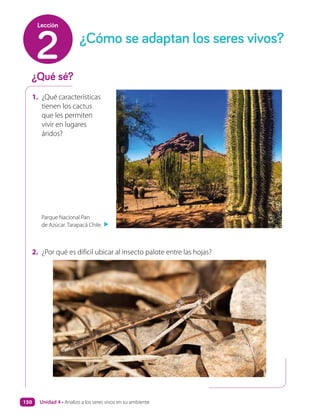 1. ¿Qué características
tienen los cactus
que les permiten
vivir en lugares
áridos?
2. ¿Por qué es difícil ubicar al insecto palote entre las hojas?
¿Qué sé?
¿Cómo se adaptan los seres vivos?
2
Lección
Parque Nacional Pan
de Azúcar. Tarapacá Chile.
▲
Unidad 4 • Analizo a los seres vivos en su ambiente
150
 