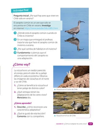 La vizcacha es un roedor parecido
al conejo, pero el color de su pelaje
difiere en cada ecosistema. Observa
las imágenes de vizcachas en el norte
y sur de Chile.
1. ¿Cómo se beneficia la vizcacha al
tener pelaje de distinto color?
2. ¿Qué ventajas tienen las
adaptaciones de los seres vivos?
Menciona dos.
¿Cómo aprendo?
1. Describe, ¿cómo reconoces una
característica adaptativa?
2. ¿Qué te gustó de esta lección?
Comenta con tu compañero.
▲ Vizcacha en el norte de Chile.
▲ Vizcacha en el sur de Chile.
Pregunta inicial: ¿Por qué hay aves que viven en
Chile solo en verano?
El zarapito común es un ave que solo se
encuentra en Chile en verano. Investiga
en internet https://www.avesdechile.cl/052.htm
1 ¿Dónde está el zarapito común cuando en
Chile es invierno?
2 En un mapa que entregará el profesor,
traza la ruta que hace el zarapito común de
invierno a verano.
3 ¿Por qué cambia de hábitat en el invierno?
4 Fundamenta si piensas que el
comportamiento del zarapito es
una adaptación.
¿Cómo voy?
Actividad final
Lección 2 • ¿Cómo se adaptan los seres vivos? 157
 