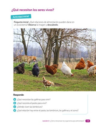 ¿Qué necesitan los seres vivos?
Responde:
a ¿Qué necesitan las gallinas para vivir?
b ¿Qué necesita el pasto para vivir?
c ¿Dónde viven las lombrices?
d ¿Qué relación hay entre el pasto, las lombrices, las gallinas y el zorro?
Pregunta inicial: ¿Qué relaciones de alimentación pueden darse en
un ecosistema? Observa la imagen y descúbrelo.
Actividad inicial
Lección 3 • ¿Cómo interactúan los organismos para alimentarse? 159
 