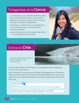 Ciencia en Chile
Protagonistas de la Ciencia
La investigadora Laura Nahuelhual Muñoz trabaja
tanto en ecosistemas marinos como terrestres,
analizando cómo las personas usan los recursos
naturales en la Región de Magallanes.
Comparte los resultados de sus investigaciones
con científicos de otras universidades para
comparar resultados.
a. ¿Qué importancia tiene el trabajo colaborativo
en las investigaciones científicas?
Parque Nacional Alberto de Agostini,
Región de Magallanes y de la
Antártica Chilena.
▲
La Universidad Austral de Chile lidera una investigación sobre ecosistemas
marinos y de la zona austral.
Esta investigación, que se realiza en la Región de Magallanes y de la Antártica
Chilena, concluye que ha disminuido la cantidad de fitoplancton, un grupo de
organismos muy pequeños presentes en las cadenas alimentarias de muchos
seres vivos.
Me conecto
Entra a https://www.24horas.cl/tendencias/ciencia-tecnologia/
expedicion-busca-investigar-biodiversidad-en-la-antartica-2672426#
Mira el video y responde: ¿Qué investigan en el IDEAL?
164 Unidad 4 • Analizo a los seres vivos en su ambiente
 