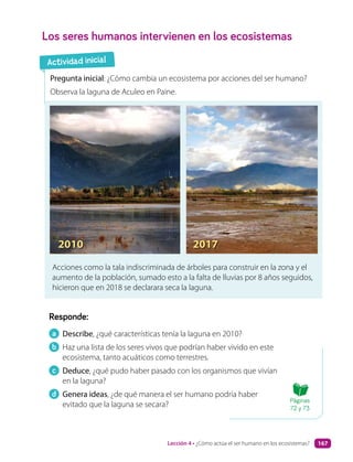 Los seres humanos intervienen en los ecosistemas
Responde:
a Describe, ¿qué características tenía la laguna en 2010?
b Haz una lista de los seres vivos que podrían haber vivido en este
ecosistema, tanto acuáticos como terrestres.
c Deduce, ¿qué pudo haber pasado con los organismos que vivían
en la laguna?
d Genera ideas, ¿de qué manera el ser humano podría haber
evitado que la laguna se secara?
Pregunta inicial: ¿Cómo cambia un ecosistema por acciones del ser humano?
Observa la laguna de Aculeo en Paine.
Acciones como la tala indiscriminada de árboles para construir en la zona y el
aumento de la población, sumado esto a la falta de lluvias por 8 años seguidos,
hicieron que en 2018 se declarara seca la laguna.
2010 2017
Actividad inicial
Páginas
72 y 73
Lección 4 • ¿Cómo actúa el ser humano en los ecosistemas? 167
 
