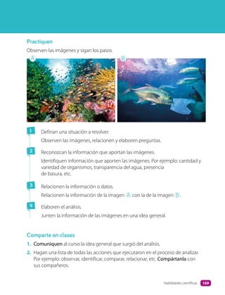 Practiquen
Observen las imágenes y sigan los pasos.
1 Definan una situación a resolver.
Observen las imágenes, relacionen y elaboren preguntas.
2 Reconozcan la información que aportan las imágenes.
Identifiquen información que aporten las imágenes. Por ejemplo: cantidad y
variedad de organismos, transparencia del agua, presencia
de basura, etc.
3 Relacionen la información o datos.
Relacionen la información de la imagen A con la de la imagen B .
4 Elaboren el análisis.
Junten la información de las imágenes en una idea general.
Comparte en clases
1. Comuniquen al curso la idea general que surgió del análisis.
2. Hagan una lista de todas las acciones que ejecutaron en el proceso de analizar.
Por ejemplo: observar, identificar, comparar, relacionar, etc. Compártanla con
sus compañeros.
A B
169
Habilidades científicas
 