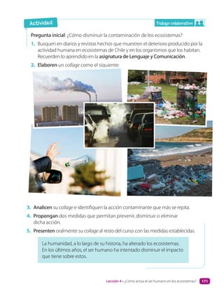 Pregunta inicial: ¿Cómo disminuir la contaminación de los ecosistemas?
1. Busquen en diarios y revistas hechos que muestren el deterioro producido por la
actividad humana en ecosistemas de Chile y en los organismos que los habitan.
Recuerden lo aprendido en la asignatura de Lenguaje y Comunicación.
2. Elaboren un collage como el siguiente:
La humanidad, a lo largo de su historia, ha alterado los ecosistemas.
En los últimos años, el ser humano ha intentado disminuir el impacto
que tiene sobre estos.
Trabajo colaborativo
Actividad
3. Analicen su collage e identifiquen la acción contaminante que más se repita.
4. Propongan dos medidas que permitan prevenir, disminuir o eliminar
dicha acción.
5. Presenten oralmente su collage al resto del curso con las medidas establecidas.
Lección 4 • ¿Cómo actúa el ser humano en los ecosistemas? 171
 