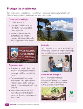 Proteger los ecosistemas
Para evitar poner en peligro los ecosistemas y conservar las riquezas naturales, en
Chile se han establecido diferentes medidas, tales como:
Conservación biológica
Tiene dos objetivos:
• Investigar los efectos de las
actividades humanas sobre
los ecosistemas.
• Prevenir la destrucción de
los hábitats y la extinción de
especies. Además, establecer la
veda y la prohibición de la caza.
Restauración biológica
Es una actividad destinada a
reforestar zonas que en el pasado
estaban cubiertas de vegetación
nativa que ha sido eliminada.
Reciclaje
Se incentiva la reducción, la reutilización y
el reciclado, así como el empleo de energía,
con lo cual se atenúa la contaminación.
Áreas protegidas
• Reservas nacionales: área cuyos
recursos naturales es necesario
conservar y utilizar con especial
cuidado.
• Parques nacionales: regiones
establecidas para la protección
y conservación de las bellezas
escénicas naturales y de su flora y
la fauna.
• Monumentos naturales: área
reducida, caracterizada por la
presencia de especies nativas de
flora y fauna.
Páginas
74 y 75
Unidad 4 • Analizo a los seres vivos en su ambiente
172
 