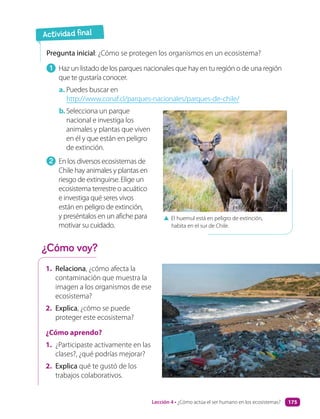 1. Relaciona, ¿cómo afecta la
contaminación que muestra la
imagen a los organismos de ese
ecosistema?
2. Explica, ¿cómo se puede
proteger este ecosistema?
¿Cómo aprendo?
1. ¿Participaste activamente en las
clases?, ¿qué podrías mejorar?
2. Explica qué te gustó de los
trabajos colaborativos.
Pregunta inicial: ¿Cómo se protegen los organismos en un ecosistema?
1 Haz un listado de los parques nacionales que hay en tu región o de una región
que te gustaría conocer.
a. Puedes buscar en
http://www.conaf.cl/parques-nacionales/parques-de-chile/
b. Selecciona un parque
nacional e investiga los
animales y plantas que viven
en él y que están en peligro
de extinción.
2 En los diversos ecosistemas de
Chile hay animales y plantas en
riesgo de extinguirse. Elige un
ecosistema terrestre o acuático
e investiga qué seres vivos
están en peligro de extinción,
y preséntalos en un afiche para
motivar su cuidado.
▲ El huemul está en peligro de extinción,
habita en el sur de Chile.
Actividad final
¿Cómo voy?
Lección 4 • ¿Cómo actúa el ser humano en los ecosistemas? 175
 
