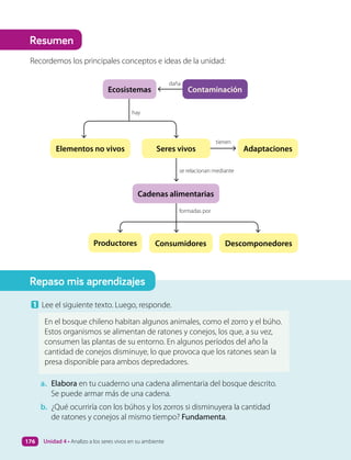 1 Lee el siguiente texto. Luego, responde.
En el bosque chileno habitan algunos animales, como el zorro y el búho.
Estos organismos se alimentan de ratones y conejos, los que, a su vez,
consumen las plantas de su entorno. En algunos períodos del año la
cantidad de conejos disminuye, lo que provoca que los ratones sean la
presa disponible para ambos depredadores.
a. Elabora en tu cuaderno una cadena alimentaria del bosque descrito.
Se puede armar más de una cadena.
b. ¿Qué ocurriría con los búhos y los zorros si disminuyera la cantidad
de ratones y conejos al mismo tiempo? Fundamenta.
Elementos no vivos Seres vivos
Cadenas alimentarias
Adaptaciones
Productores Consumidores Descomponedores
Ecosistemas Contaminación
hay
tienen
se relacionan mediante
formadas por
daña
Recordemos los principales conceptos e ideas de la unidad:
Repaso mis aprendizajes
Resumen
Unidad 4 • Analizo a los seres vivos en su ambiente
176
 