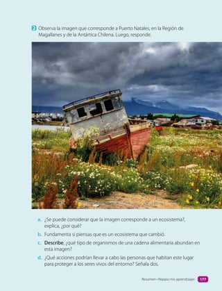 2 Observa la imagen que corresponde a Puerto Natales, en la Región de
Magallanes y de la Antártica Chilena. Luego, responde.
a. ¿Se puede considerar que la imagen corresponde a un ecosistema?,
explica, ¿por qué?
b. Fundamenta si piensas que es un ecosistema que cambió.
c. Describe, ¿qué tipo de organismos de una cadena alimentaria abundan en
esta imagen?
d. ¿Qué acciones podrían llevar a cabo las personas que habitan este lugar
para proteger a los seres vivos del entorno? Señala dos.
Resumen • Repaso mis aprendizajes 177
 