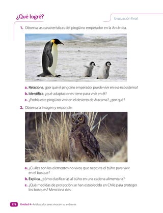 Evaluación final
¿Qué logré?
1. Observa las características del pingüino emperador en la Antártica.
a. Relaciona, ¿por qué el pingüino emperador puede vivir en ese ecosistema?
b. Identifica, ¿qué adaptaciones tiene para vivir en él?
c. ¿Podría este pingüino vivir en el desierto de Atacama?, ¿por qué?
2. Observa la imagen y responde.
a. ¿Cuáles son los elementos no vivos que necesita el búho para vivir
en el bosque?
b. Explica, ¿cómo clasificarías al búho en una cadena alimentaria?
c. ¿Qué medidas de protección se han establecido en Chile para proteger
los bosques? Menciona dos.
Unidad 4 • Analizo a los seres vivos en su ambiente
178
 